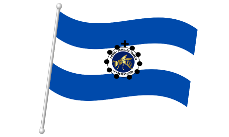 Bandera institucional